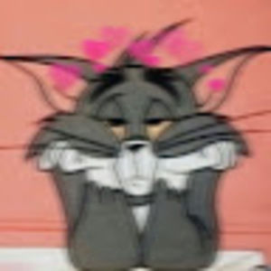 Meet your Posher, Sharifa